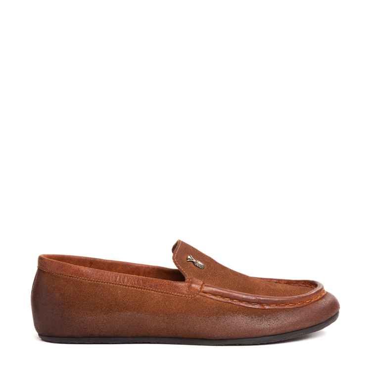 Mocassim Vivido